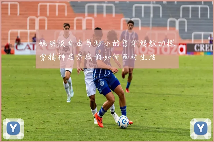 姚明谈自由与渺小的哲学蚂蚁的探索精神启示我们如何面对生活